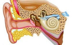 Симптомы шума в ушах